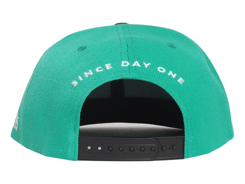 TEAL Canada Fly Snapback